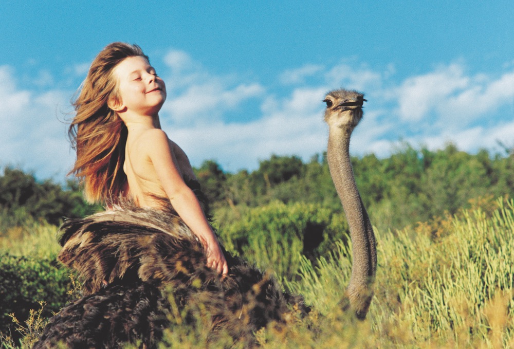 Tippi of South Africa A Real-Life Jungle Book Rebecca Barnes Sylvie Robert Leopard