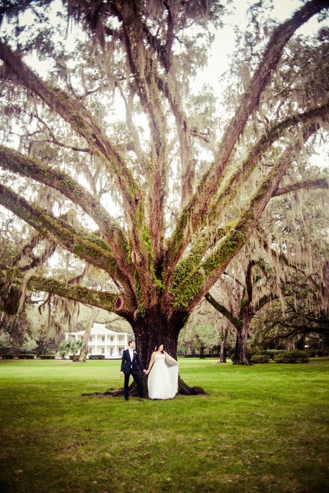 Bride and groom under a tree