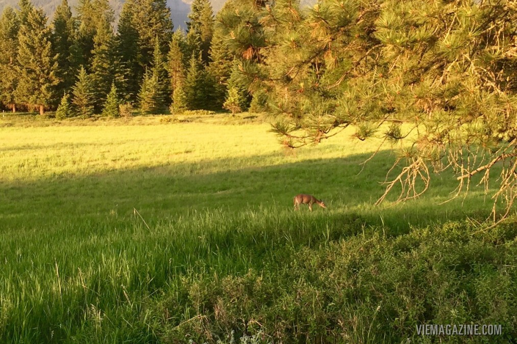 Heaven On Earth Ranch