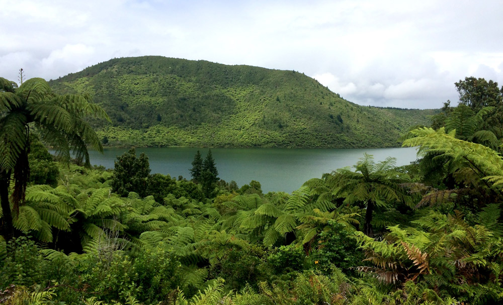 Rotokakahi, the green lake, Rotorua, New Zealand