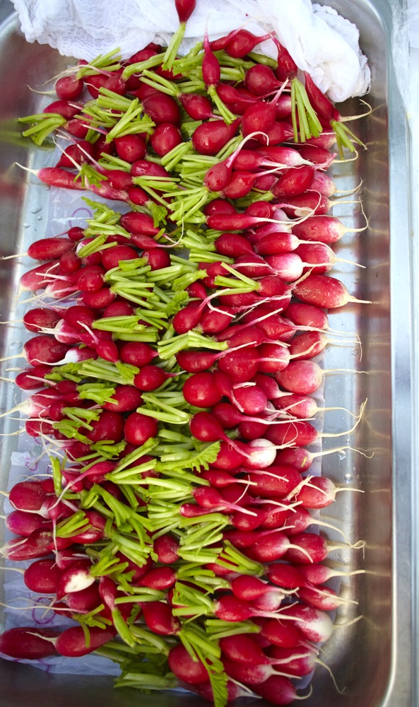 Beautiful Layers Of Organic Radishes Laid Out On The Table