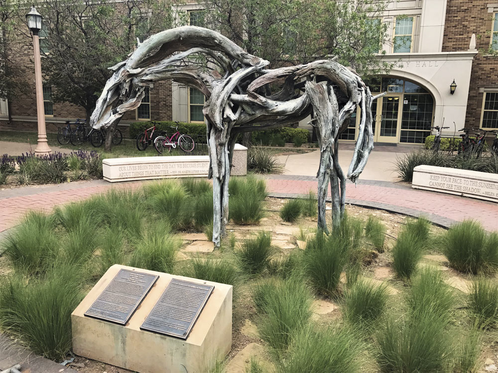 Cast in bronze but looking exactly like weathered wood, Wind River by sculptor Deborah Butterfield is the perfect homage to West Texas on the Texas Tech campus. Photo courtesy of Texas Tech University