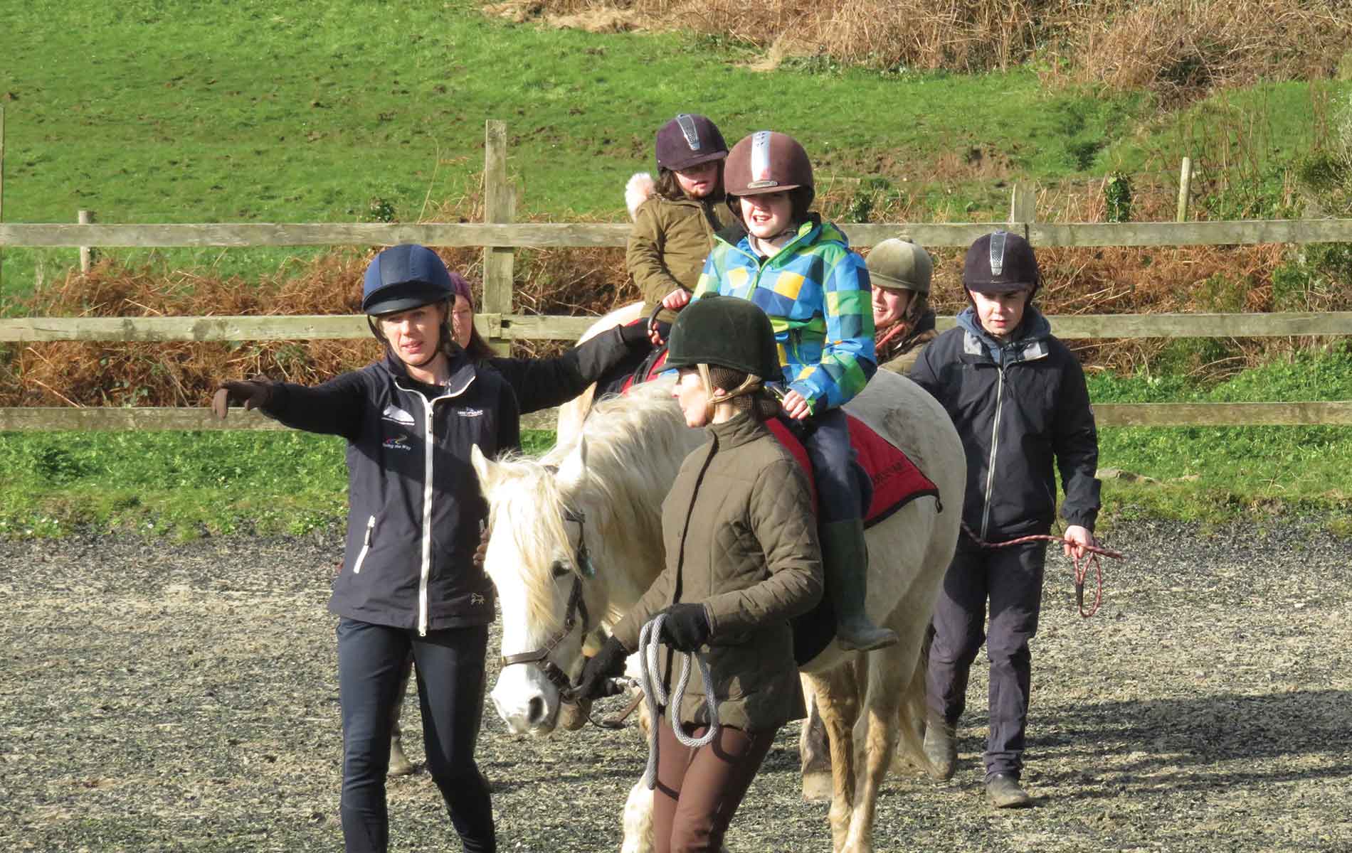 Connemara Life, Therapeutic Riding, horses