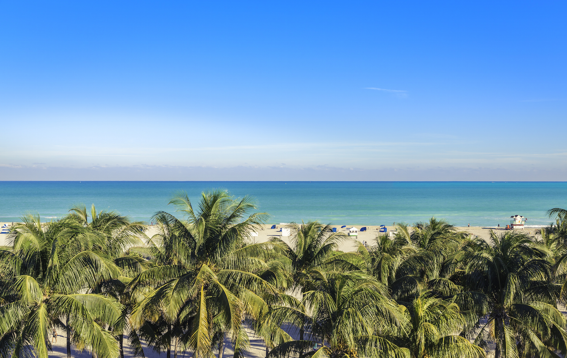 Public beach behind the palm trees in Miami Beach, Florida