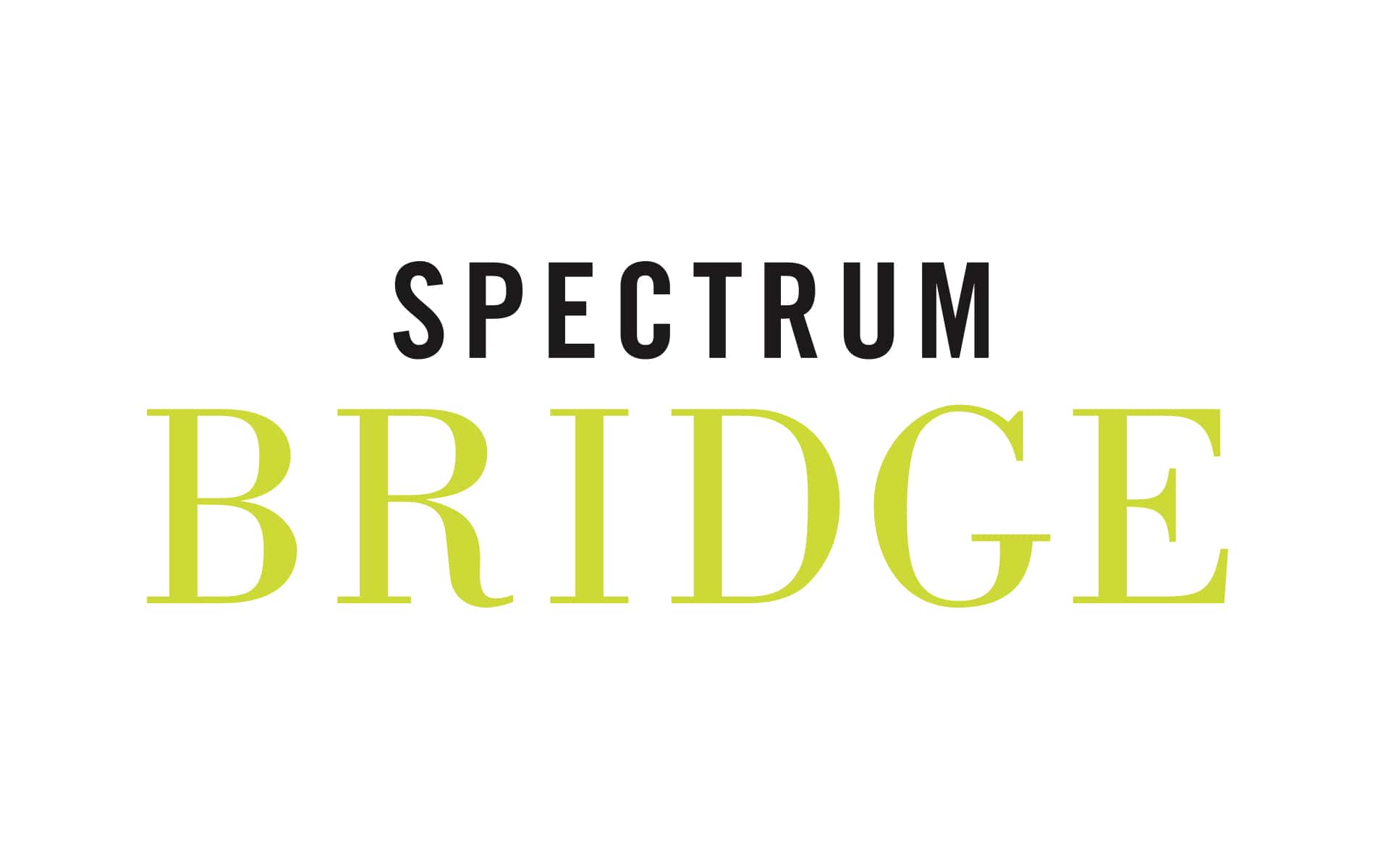 Spectrum Bridge, VIE Magazine, January 2018