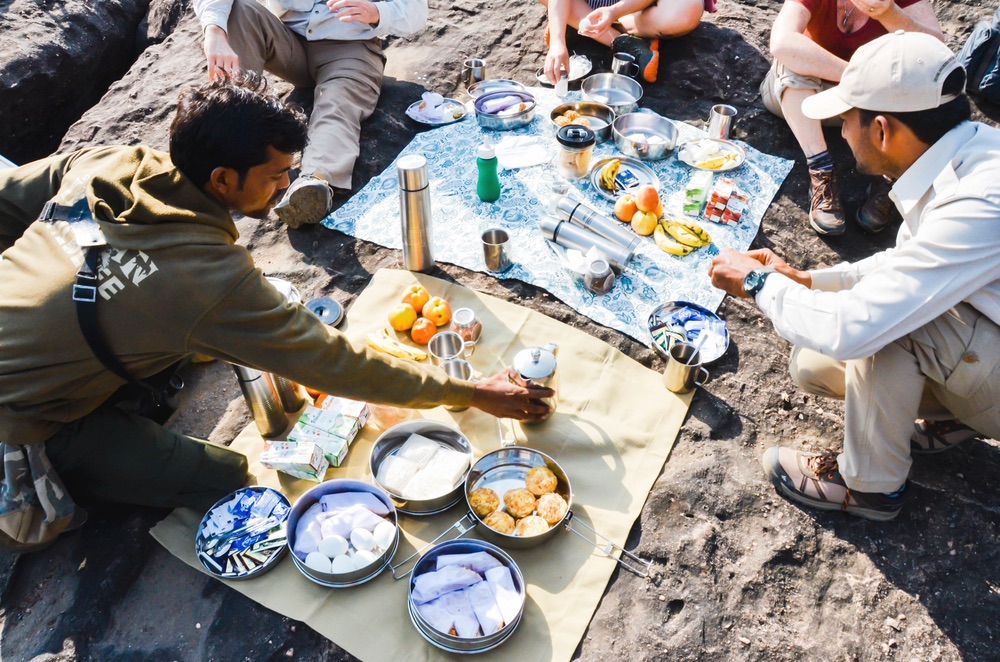 Safari guests and their guides enjoy a picnic in the forest before continuing their trek.