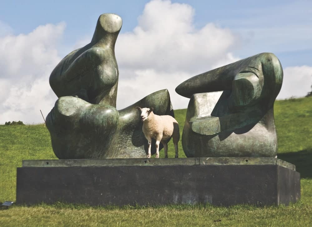 One of the Yorkshire Sculpture Park’s sheep enjoying this piece by Henry Moore, part of his Open Air Bronze Collection | Photo by Andrew Marshall