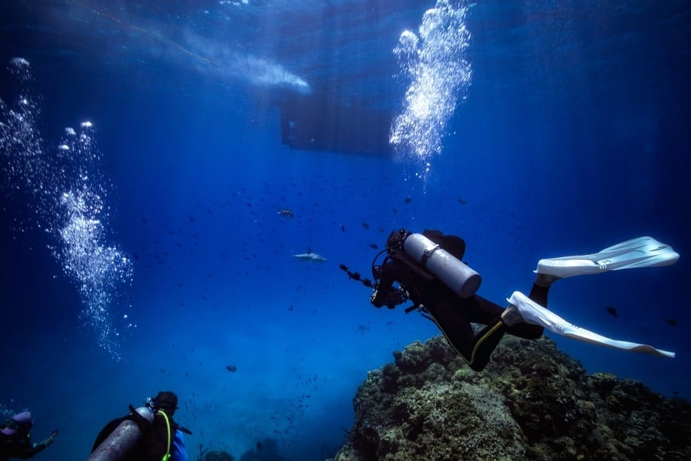 Underwater sealife photos in the Bahamas