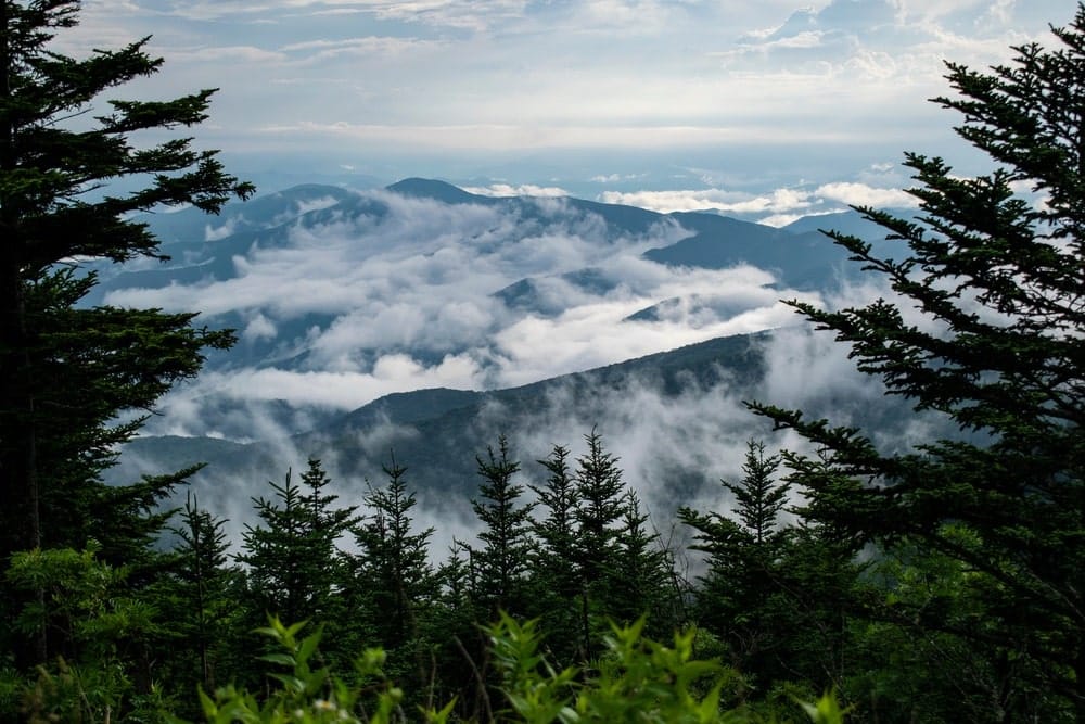 Clingmans Dome overlooking the Great Smoky Mountains after a storm