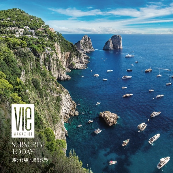 VIE Magazine Subscription, The Idea Boutique, Cornerstone Marketing & Advertising