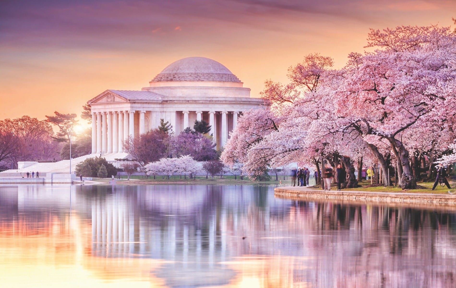 National Cherry Blossom Festival, Jefferson Memorial