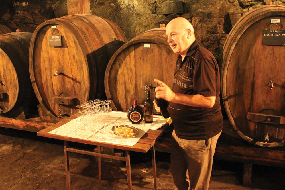 Wine tasting hosted by Grča’s winemaker in his cellar