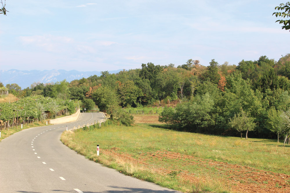 Picturesque countryside near Ljubljana with the Julian Alps in the background