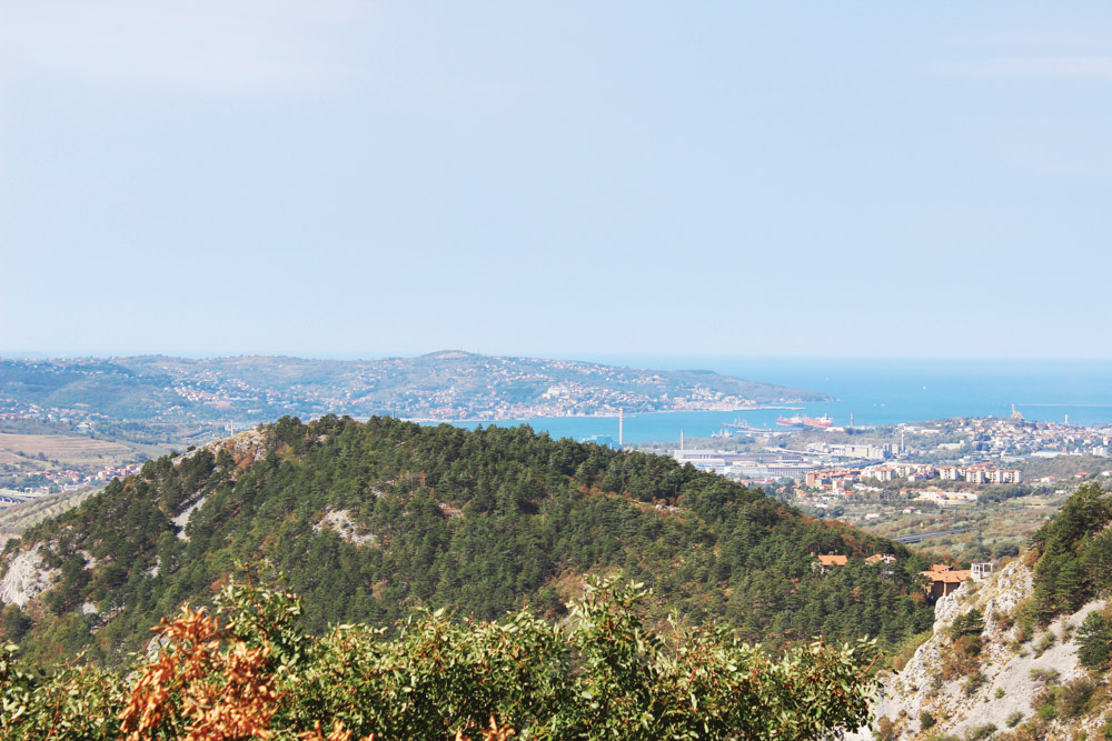 View of Trieste, Italy, and the Adriatic Coast from the Alpe Adria Trail