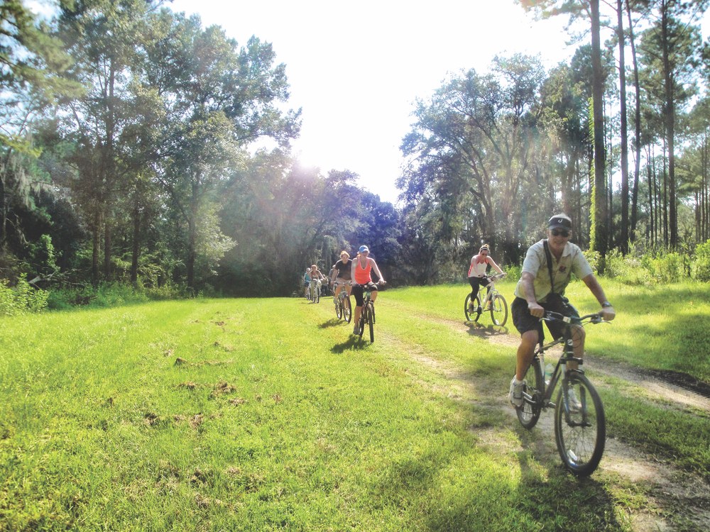 Scenic off-road biking on The Elinor Klapp-Phipps Trail