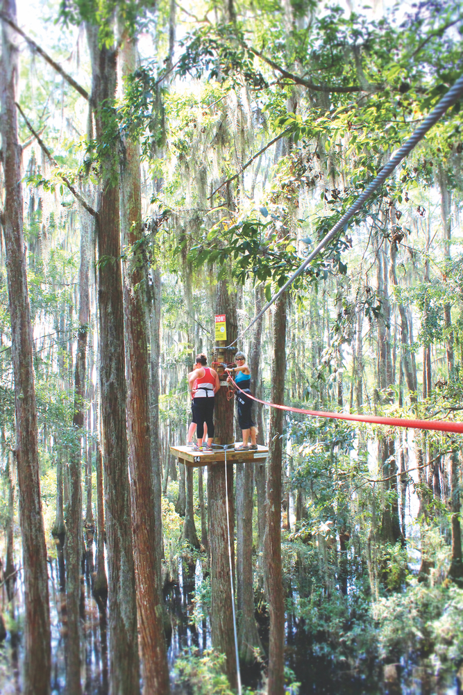 Tallahassee museum's soaring cypress zip-line course traverses high above the swamp