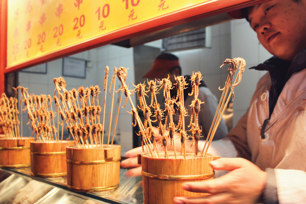 Chinese China Feast for the Senses Dim Sum Beijing Tradition Food Skewers of crispy friend scorpions, a popular snack at Wangfujing's famous night market