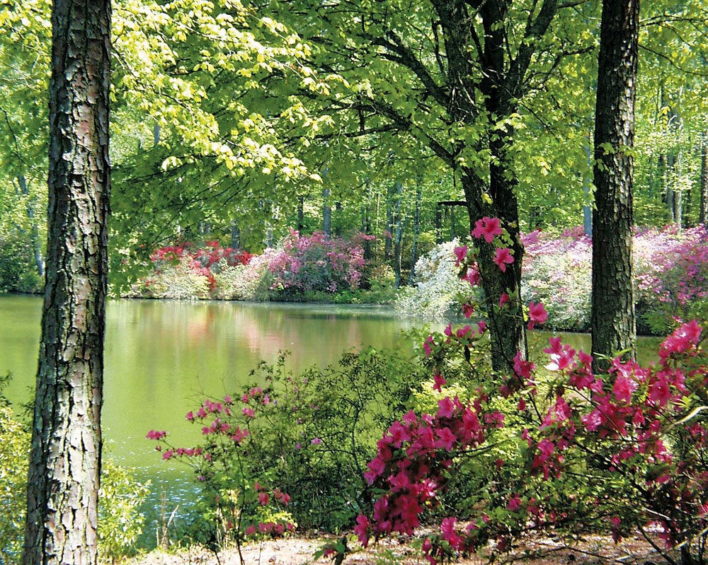 VIE Magazine Callaway Gardens Resorts Pine Mountain Georgia's Appalachian Foothills