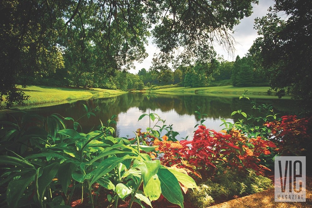 Vie Magazine Bellingrath Gardens pond surrounded by foliage Photo by Bill Weckel