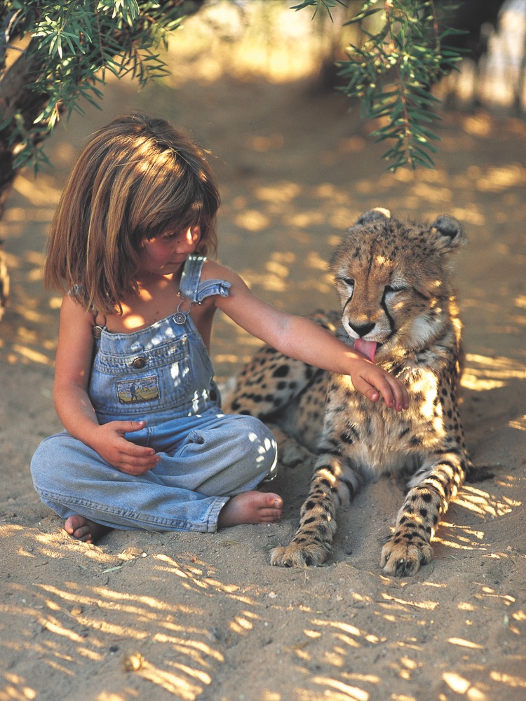 Tippi of South Africa A Real-Life Jungle Book Rebecca Barnes Sylvie Robert Leopard