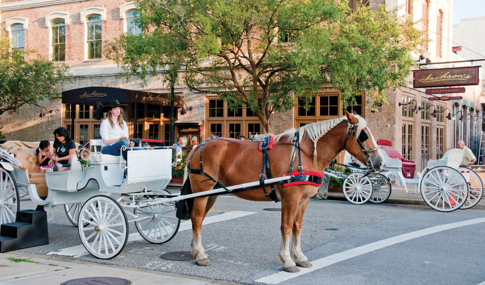 Downtown Pensacola Florida, horse and carriage