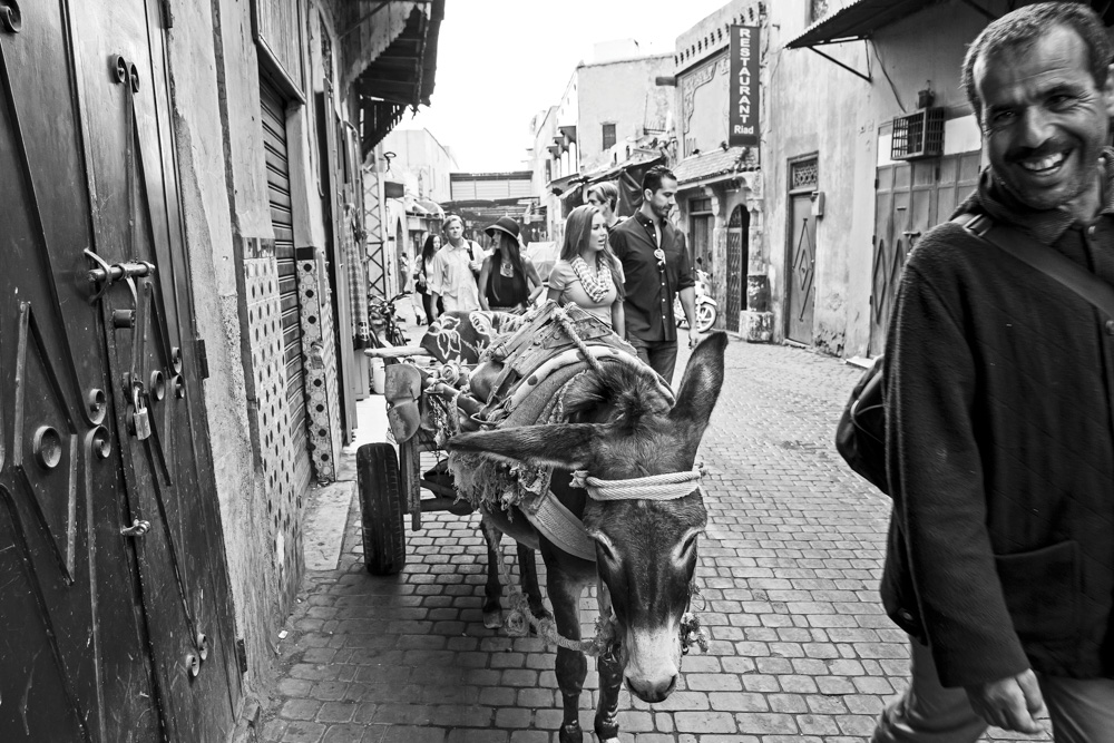 Donkey pulling cart on the streets of Morocco