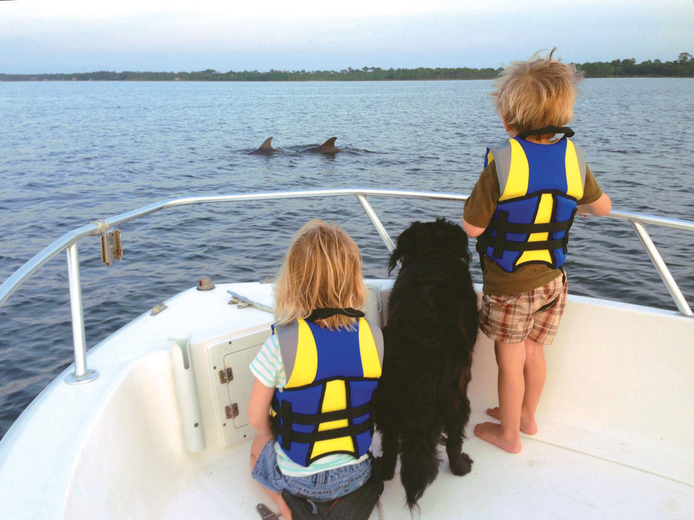 Family spots some dolphins surfacing in the Choctawhatchee Bay