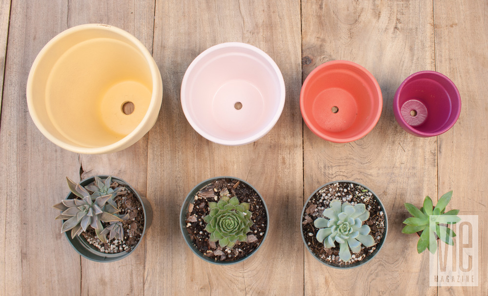 Handpainted pots for plants