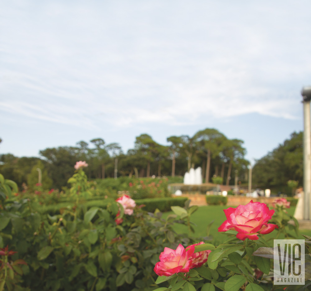 Flowers in a garden in Fairhope, Alabama