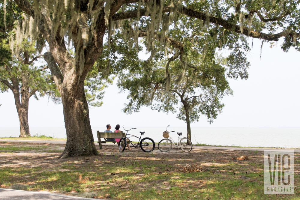 Sitting on a bench under a tree in Fairhope, Alabama