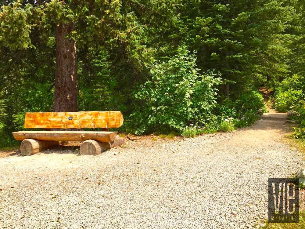 Bench made of logs in Montana Jewel Basin