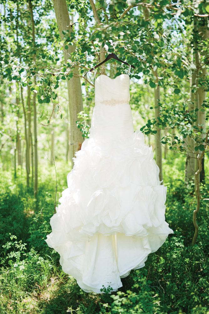Telluride wedding dress