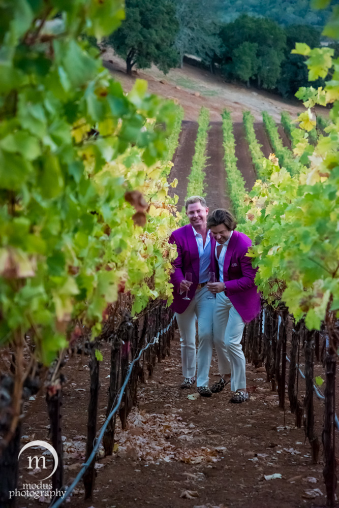 wedding couple in vineyard modus photography