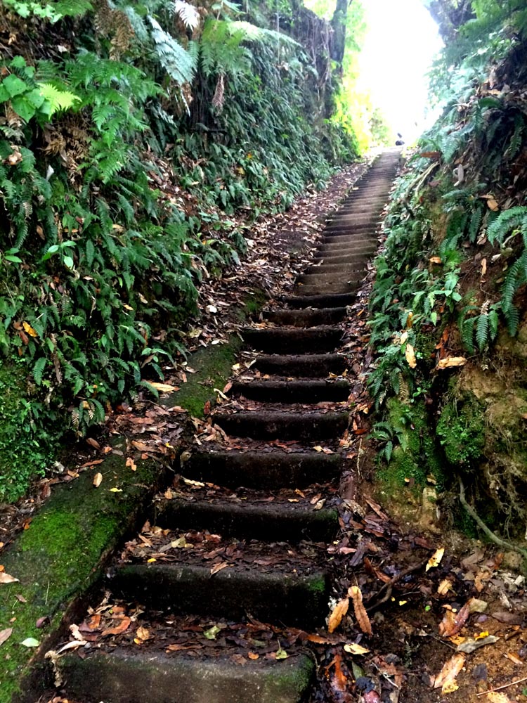Steps to Okere Falls, Rotorua, New Zealand