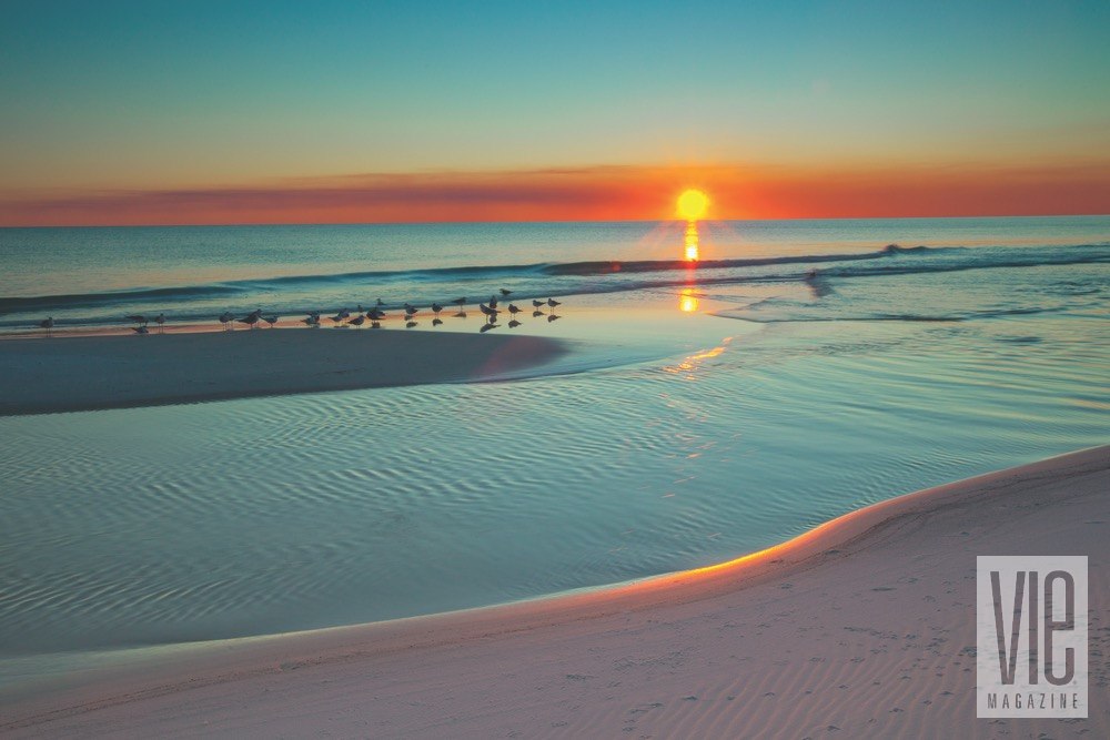 Vie Magazine Florida Beach Sunset by Romona Robbins