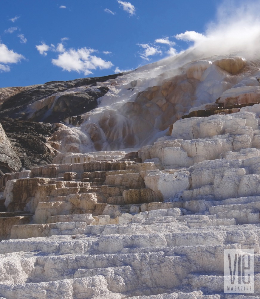 mammoth hot spring yellowstone national park