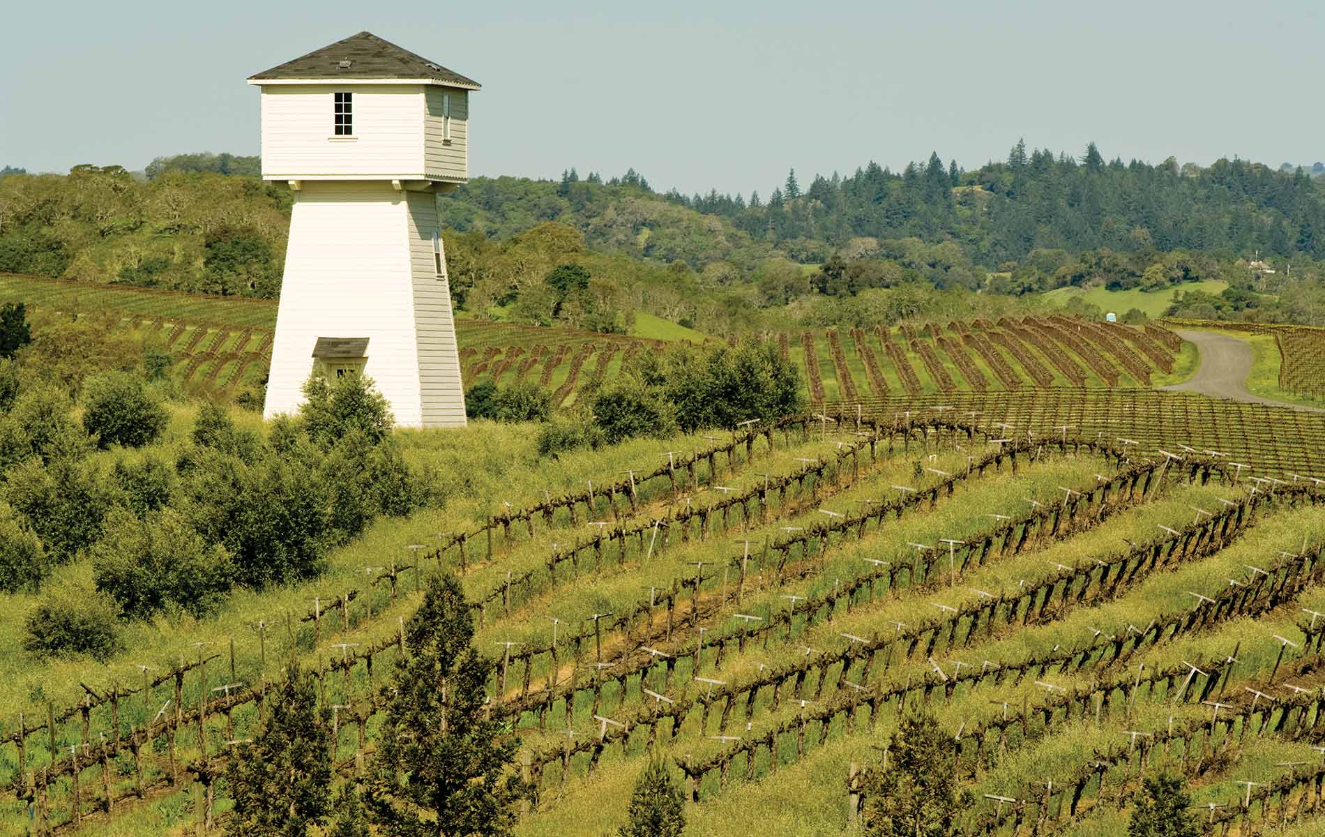 My Bucket List—An Annual Wine Country Pilgrimage