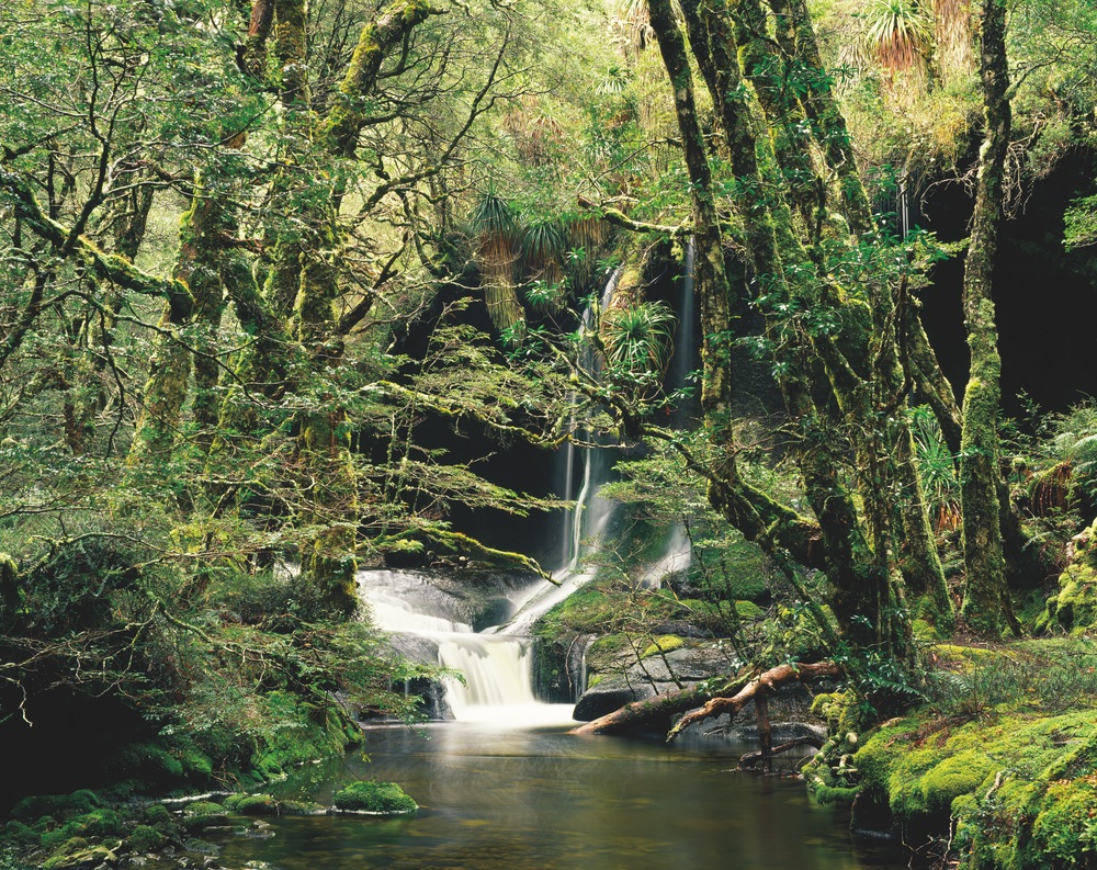 Highland Rain Forest Walls of Jerusalem National Park Tasmania Travel Waterfall