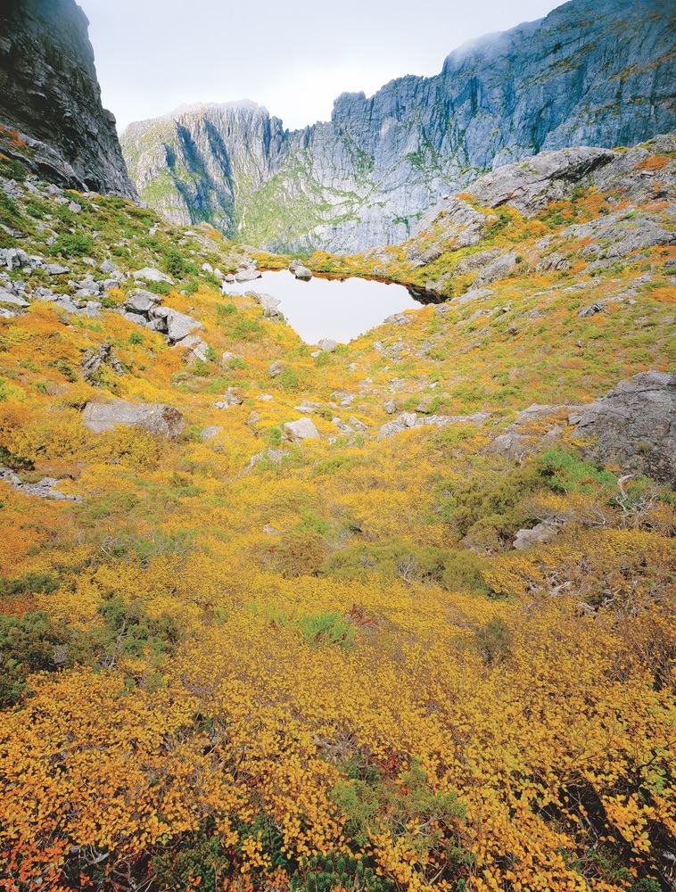 West Coast Range Tasmania Travel Autumn Colors