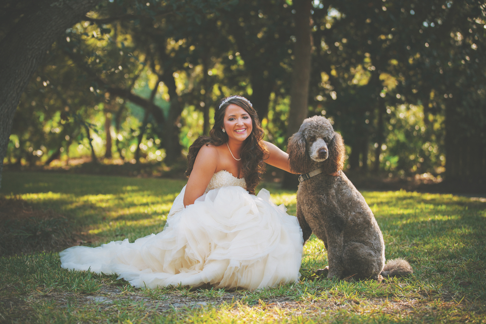 vie magazine lauren mcgill wedding poodle