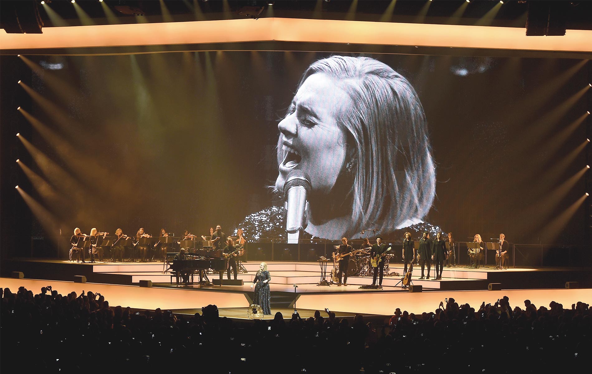 The Amazing Adele