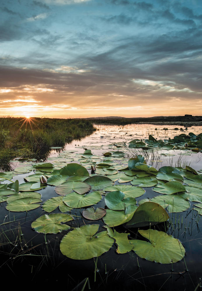 Derrygimlagh Bog is one of the most historically significant sites in Connemara, where aviators Alcock and Brown landed near the Marconi telegraph station in 1919. Photo by Mark Furniss