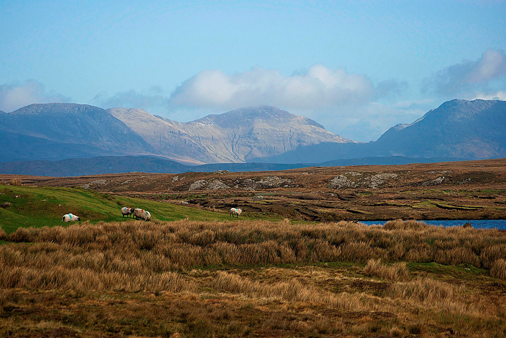 Landscape in Western Ireland Guglielmo Marconi