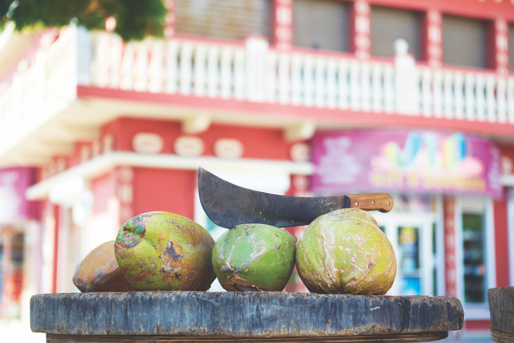 Palm trees abound on One Happy Island, and street vendors with fresh coconuts are abundant, providing a refreshing natural libation and a souvenir all in one.