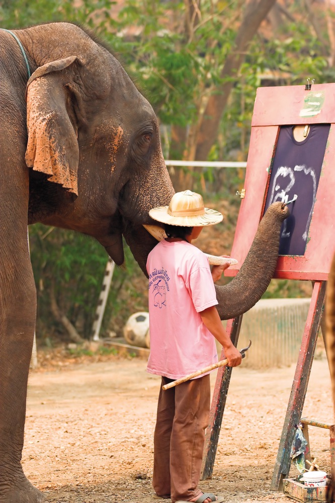 Vie Magazine An Asian elephant paints a self-portrait