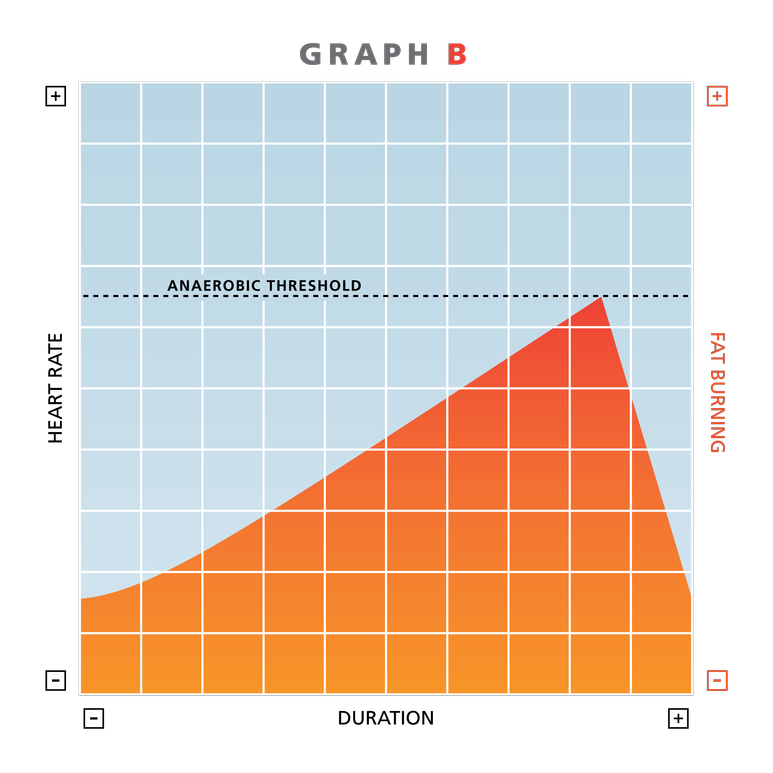 exercise graph; fat burning