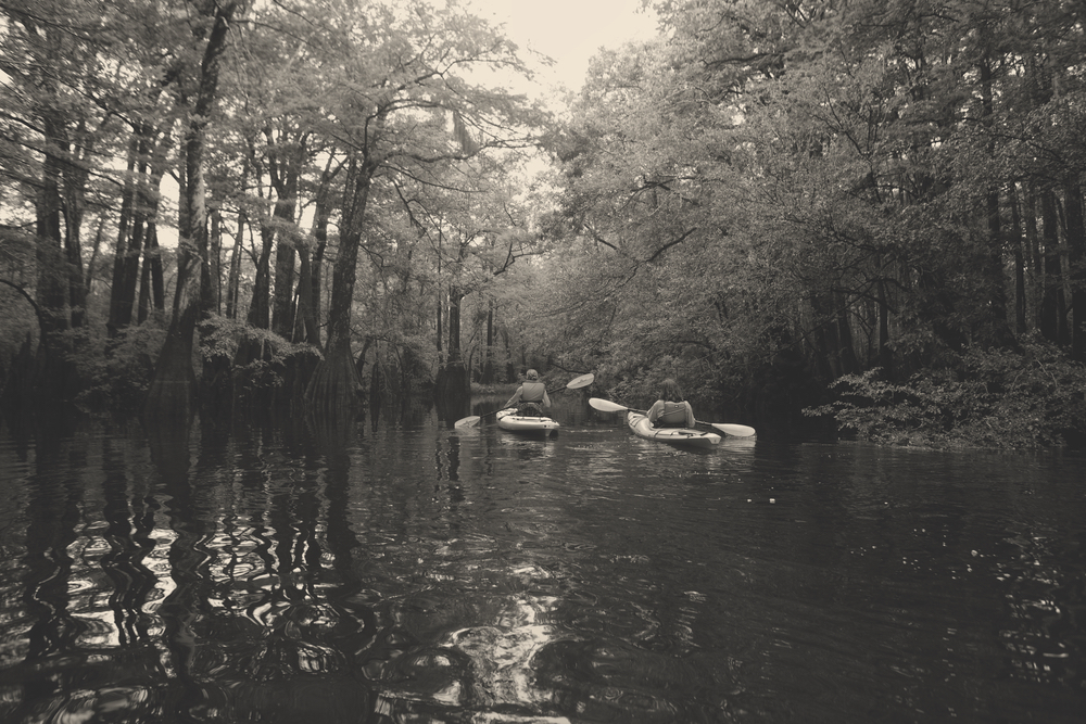 paddling through paradise