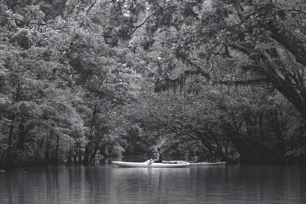 paddling through paradise