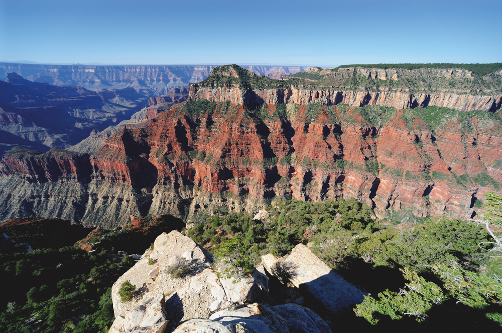 View from the Transept Trail in the Grand Canyon during the middle of the day with clear, blue skies