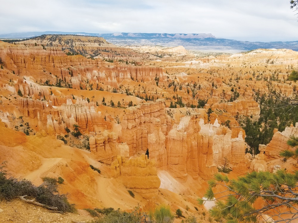 Bryce Canyon National Park in southern Utah. Photo by Greg Cayea.